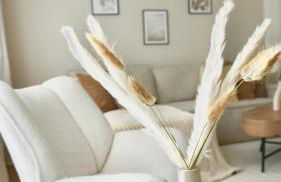 Luxuriös & Sehr Zentral in Wuppertal - Foto 13