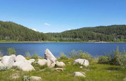 Lakeland Village #110 - Foto 44