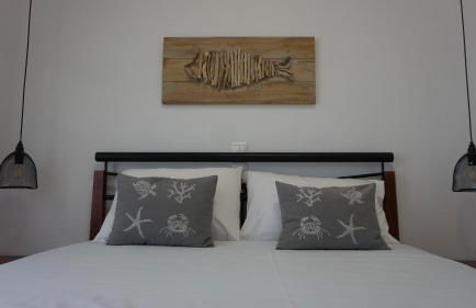 Zaira Studios - Foto 24