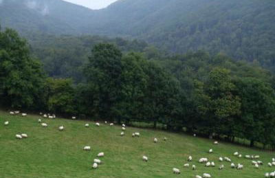 Casa Rural Lenco - Foto 67