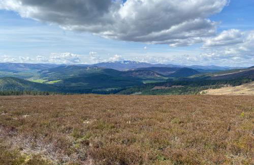 The Cabin at No 45 - Foto 14