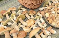 Domek Radość - Foto 19