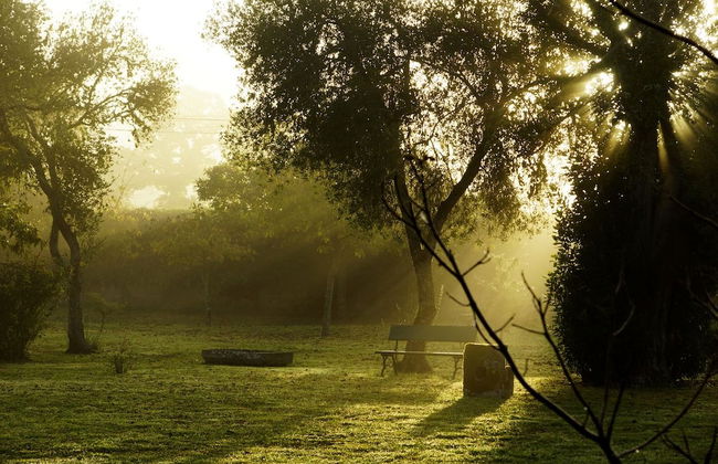 Pazo Almuzara - Photo 27