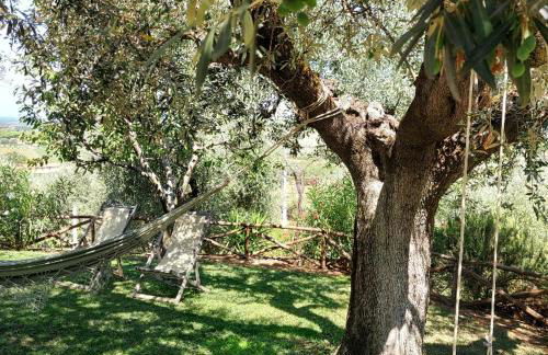 Agriturismo Villa Carducci - Foto 13