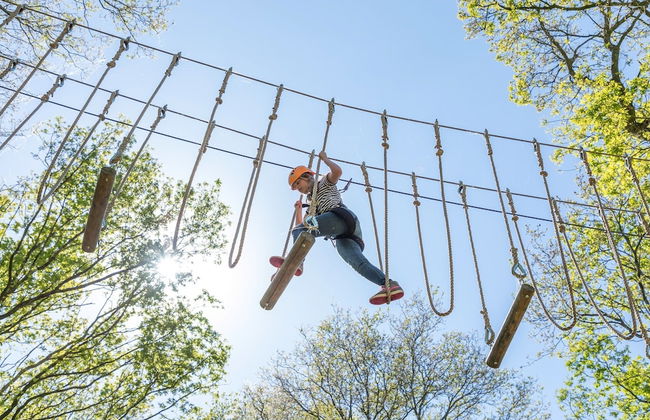 Spacious Nature Villa, Paasloo - Photo 34