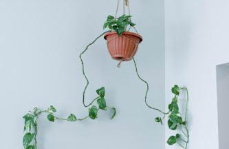 Rainforest Retreat 20m to NYC Parking Sleeps 25 - Foto 21