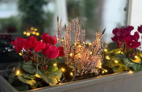 Villa Amedea - Foto 35