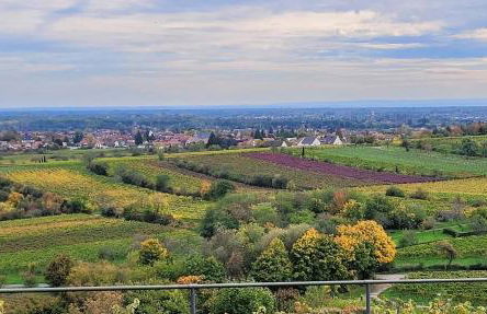 Ferienwohnung Freiraum - Foto 18