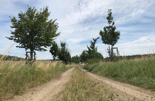 Ferienwohnung in Schmargendorf bei Angermünde - Foto 15