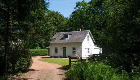 Wood Cottage - Foto 2