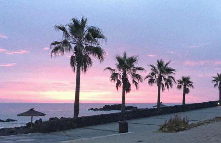 D'Sal y Arena - Foto 14