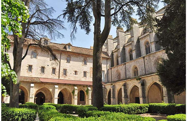Visite privée de la Basilique Sainte-Marie-Madeleine - Photo 4
