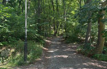 Korzkiewka - Foto 19