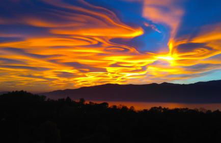 In Cima al Bosco - Photo 9