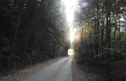 Rusti Deifeld - Foto 23