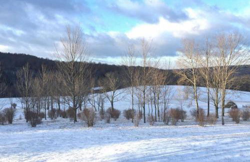 Private Dog-Friendly Home 3 Mi to Elk Mountain - Foto 33