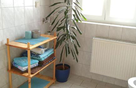 Ferienwohnung Steinwald Ausläufer mit Blick auf Kösseine - Foto 10