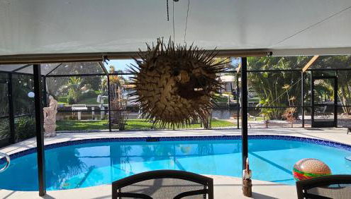 Peaceful Oasis - Foto 5