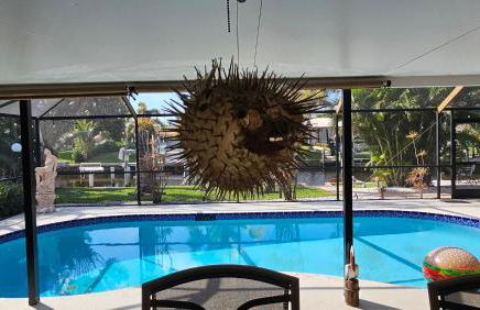 Peaceful Oasis - Foto 5