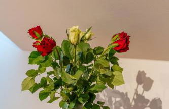 Münster Loft No 2 - Foto 19