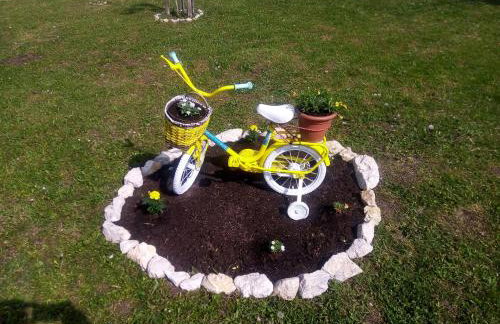 Yellow Rose - Foto 22