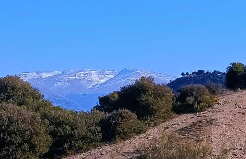 CASA SOLEÁ Albaycín - Foto 14