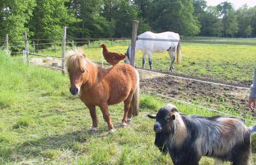 Gîte 5 personnes au calme avec jardin, piscine, proche d'Amboise - Foto 19