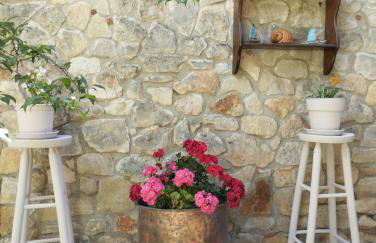 VASILEVI STUDIOS - Foto 72