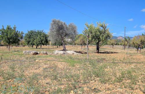 Villa Cas Frares by Slow Villas - Foto 61