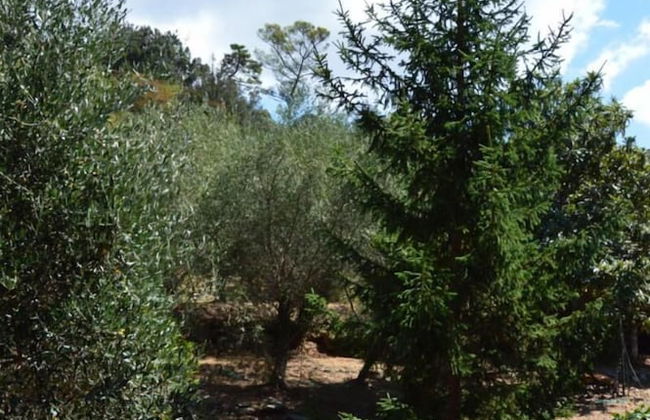 A Stone's Throw From the sea - Foto 33