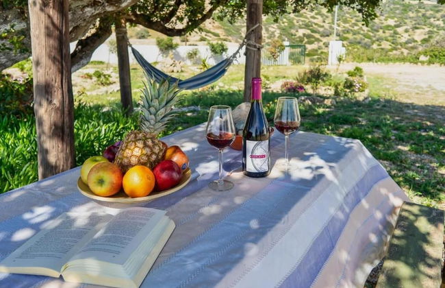 Emmanuela House With Garden and sea View- Triopetra - Photo 32