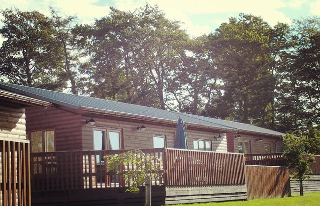 Mountain Ash Lodge - Photo 1