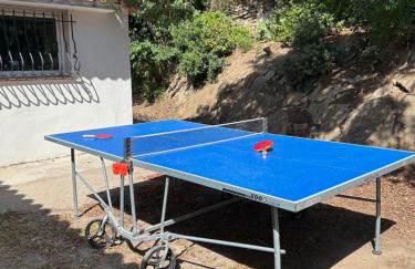 VILLA 4* avec PISCINE dans le bas du village de BORMES les MIMOSAS - Foto 24