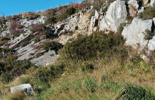 LES HAUTS VENTS - Foto 51