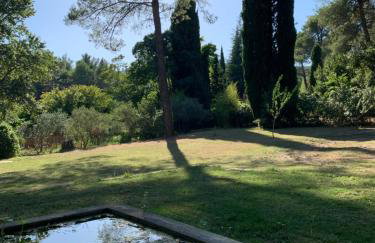 Cabane de la leque - Foto 33