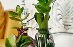 Preciosa casa de pueblo entre Ronda y Setenil La Posada de Catalina - Foto 30