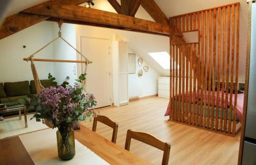 Appartement de charme à Nancy - Foto 3