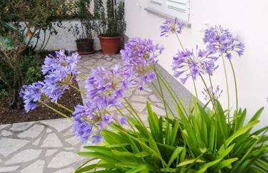 Apartman Lavanda sa bazenom i okućnicom 4* - Foto 33