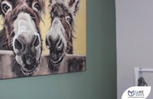 Luke Stays - Alum Waters - Foto 10