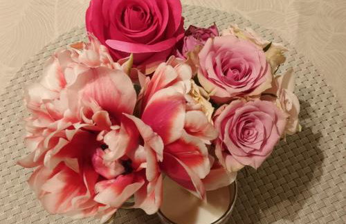 Apartman Kvatric - Photo 11