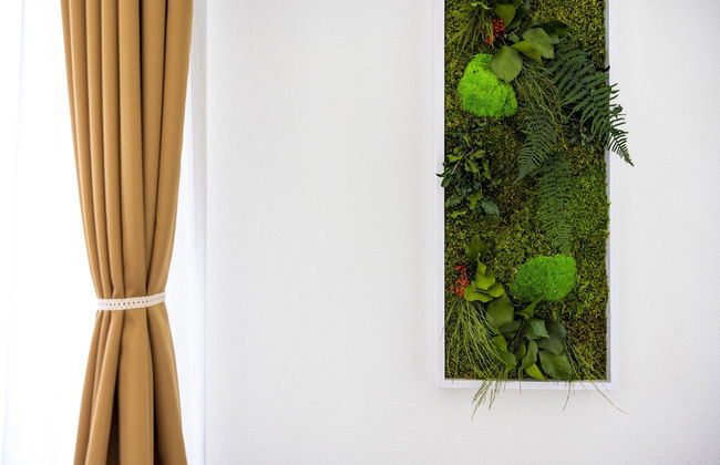 VISIMO Apartments St. Gallen Mühlensteg - Elegant. Quiet. Central - Foto 4