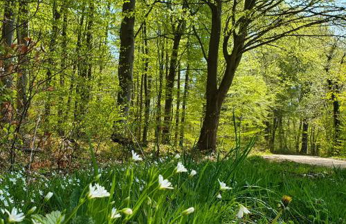 Am Alten Haus - Foto 28