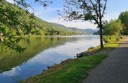 Moselperle- Urlaub im historischen Fachwerkhäuschen - Foto 23