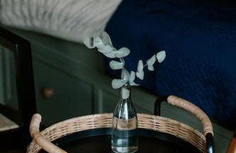 Countryside Shepherds Hut with hot tub wood fired - Foto 8