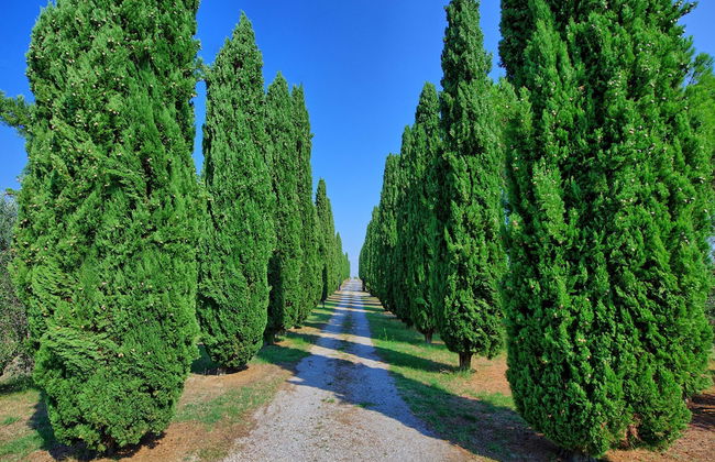 Casale Giulio - Foto 29