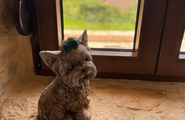 Ekali stone house - Foto 14