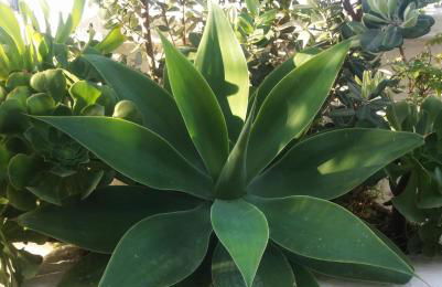 villa coral mondello - Photo 39