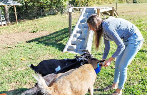 The Goat House Waterfront Hottub Stargazing - Foto 135