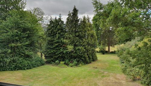 FeWo Baron - Foto 5, Garden