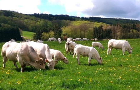 Ferienwohnung Biohof Mindermann - Foto 44